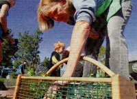 Barb Purdy, with the Rose Haven Heritage Garden in Temecula, picks up a sweet pea plant as she shows children how to plant them during a kid-friendly garden program Saturday morning.