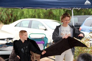 Boy in bat costume