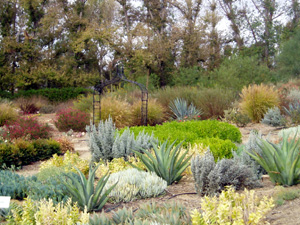 Southwest Garden