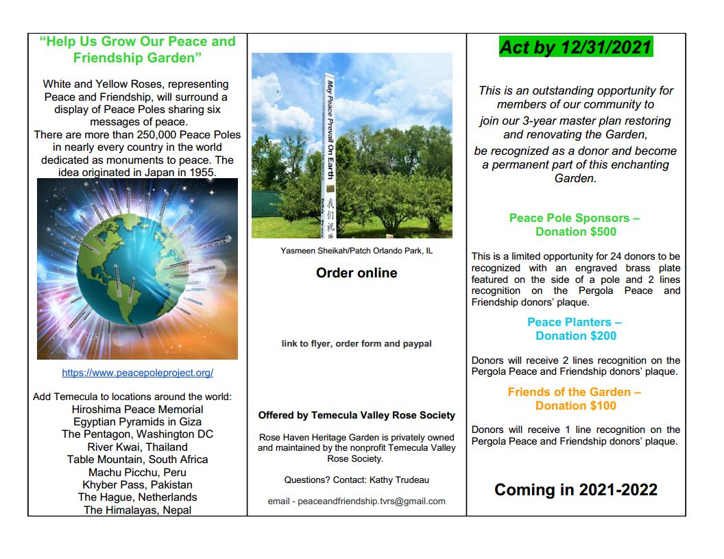 Flyer